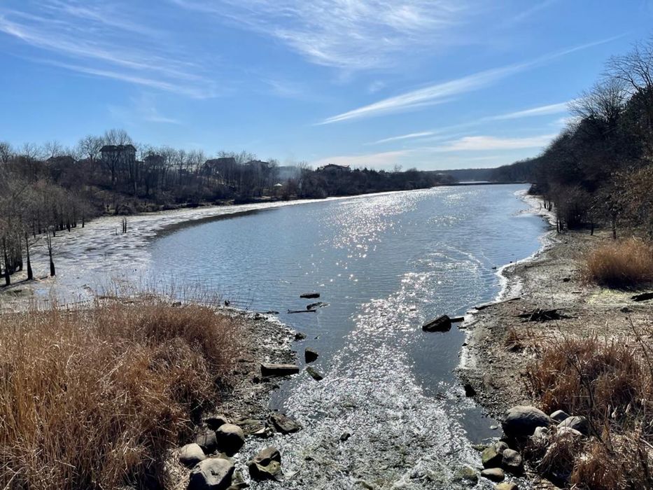 Teren Branesti cu deschidere la lac aproape de padure