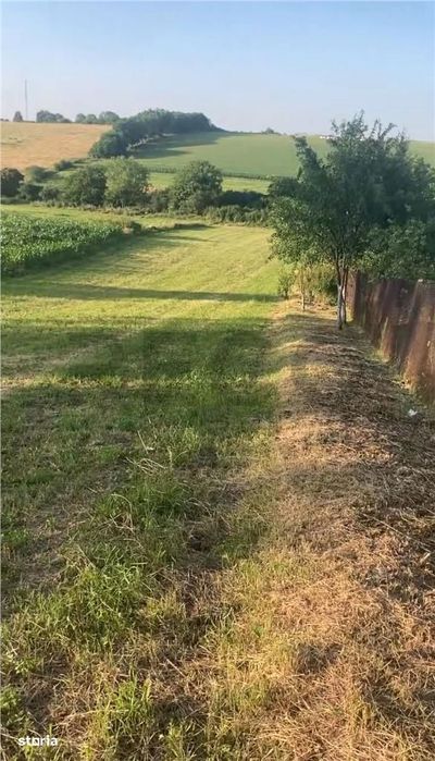 Reco  Teren 5800 mp in Ghenetea | Strada asfaltata recent