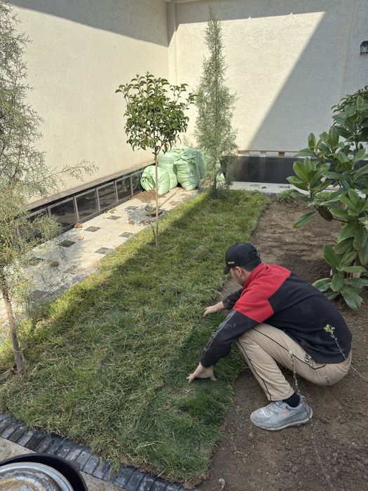 Газон готовый рулон оптом нархда