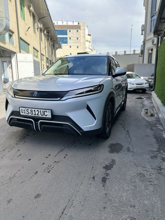 Byd yuan up 2024