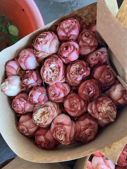 Atirgul gunchalari bor