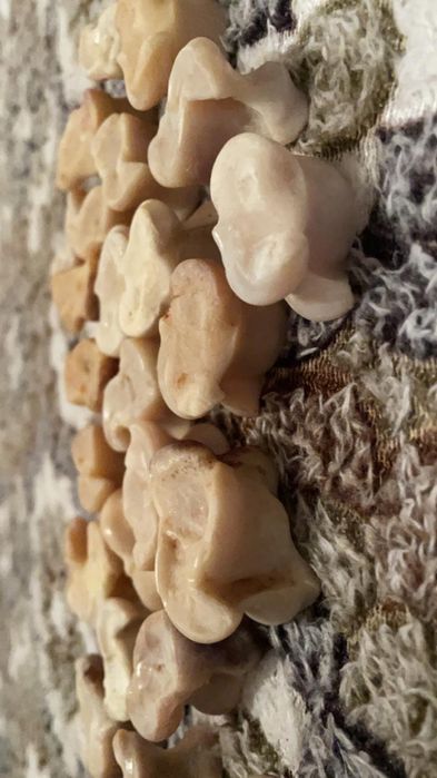 Асык 1шт 300 тенге