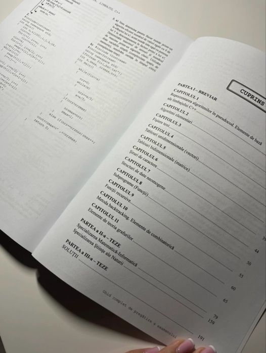 Carte pregatire bac informatica Paralela 45