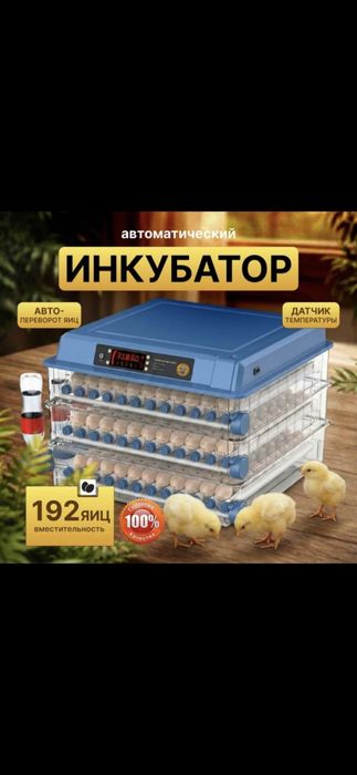Инкубатор Fermer