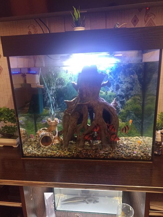 Продам Аквариум 200л