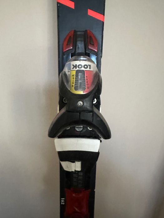 Ски rosighnol 160