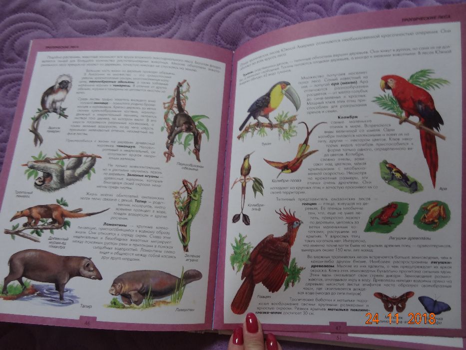 Атлас животных, Эксмо