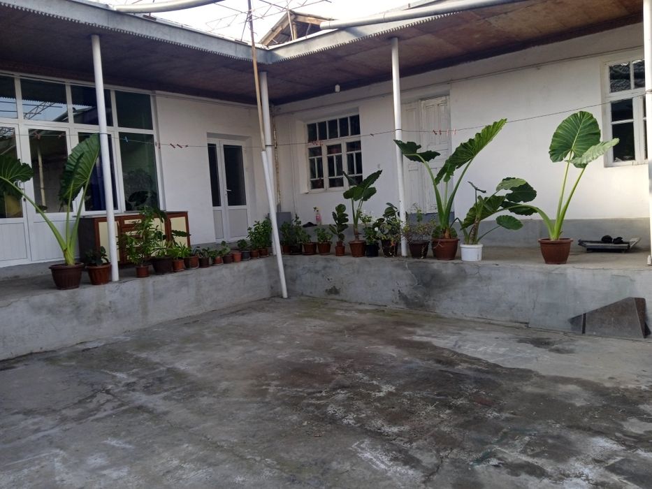 Gul shnavandalari uchun gullar