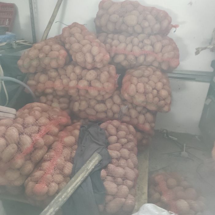 Cartofi mari de vânzare