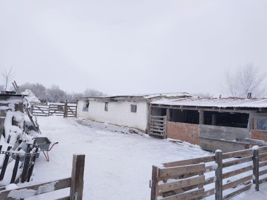 Дом продам или обмен