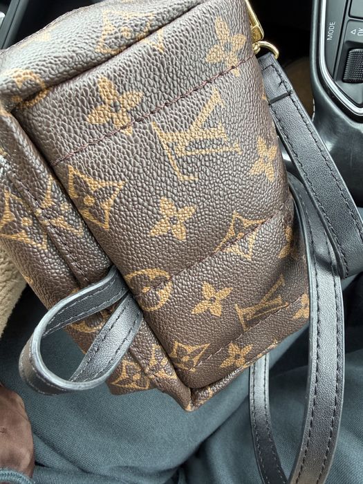 Louis Vuitton  Palm Spring Backpakt mini monogram