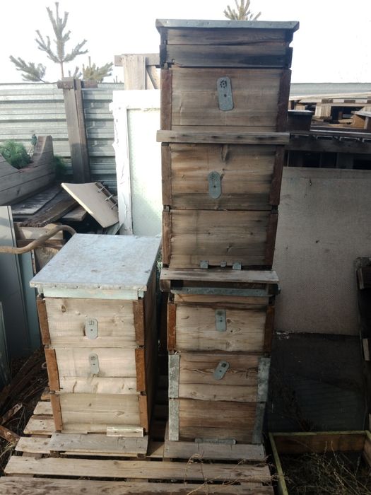 Продам улья для пчел.