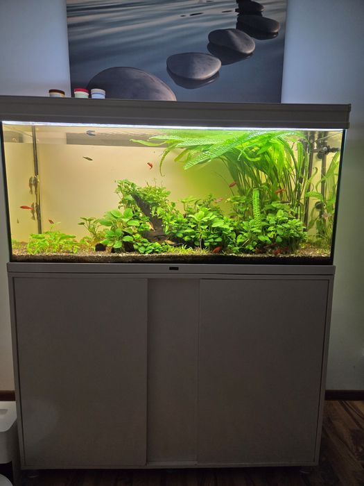 Acvariu complet Aquatlantis 240 litri