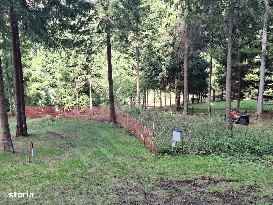 Teren intravilan la munte