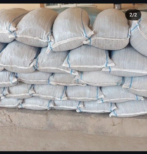 Biogumuz tabiiy òĝut