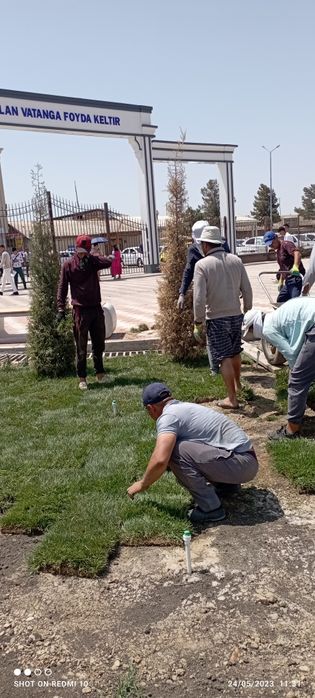 Ruloniy gazon ekish xizmati