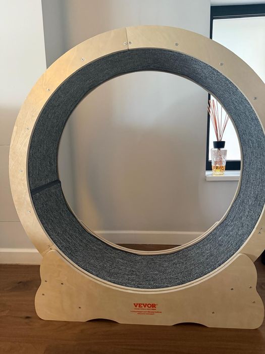 Roata alergare pisici