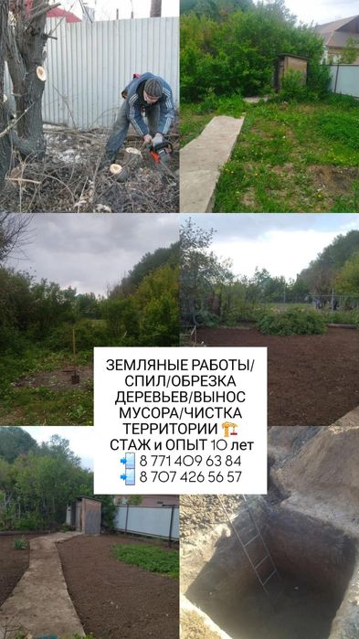 Услуги спил деревьев