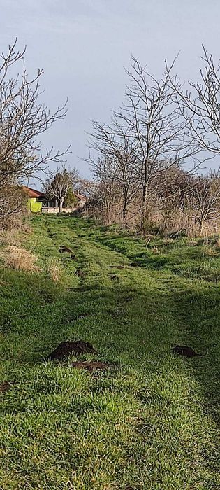 Продава се Парцел в с. Граничар, Област Добрич - 1540 кв.м за 13 €/кв.м - Снимка #3