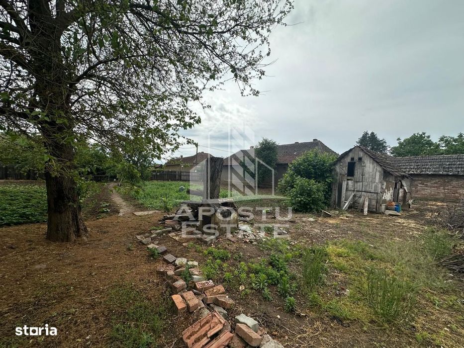 Casa cu teren de vanzare in Zimandu Nou