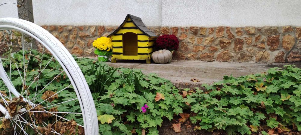 Къща за куче - Маша и Мечокът, Къщи за кучета ,Колиби за кученца