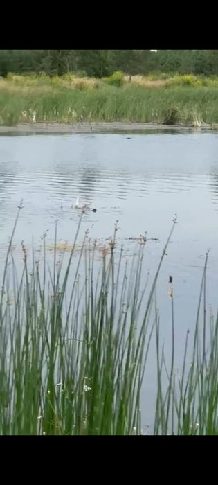 Продам базу отдыха