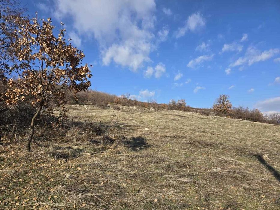 Продава се Парцел в с. Гълъбово, Област Пловдив - 1934 кв.м за 35 €/кв.м - Снимка #6