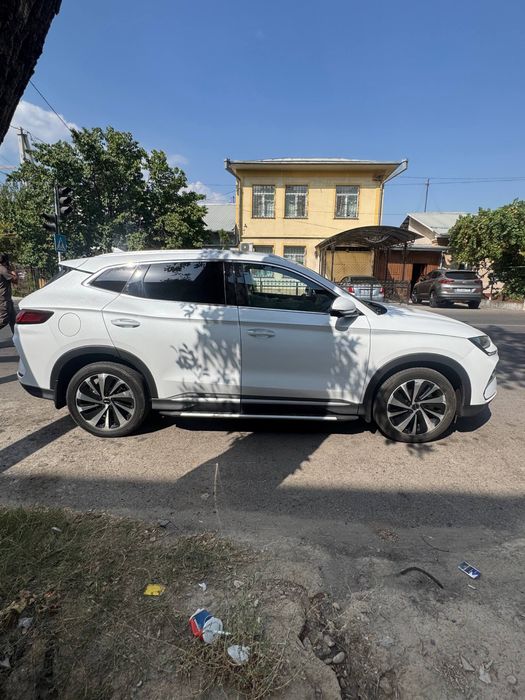 Byd chempion gibrid, 150 talik sotiladi