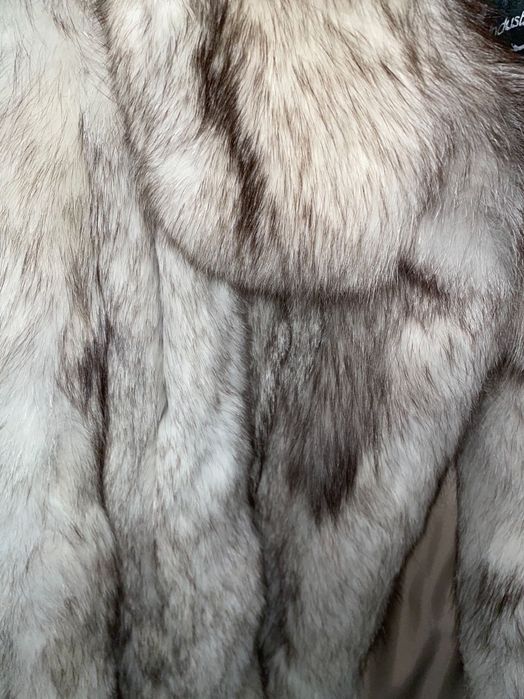 Blana de vulpe argintie