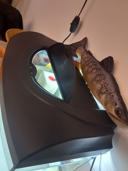 Vand acvariu echipat pentru pesti