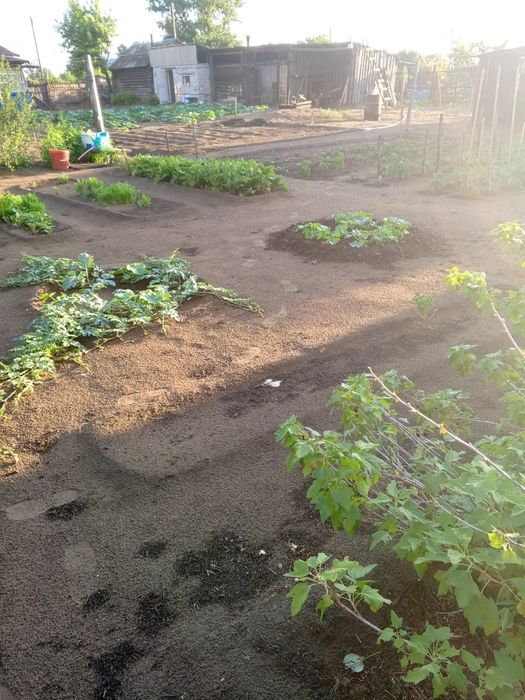 Продам дом в канонерке