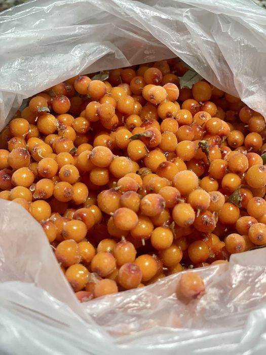 Облепиха мороженная