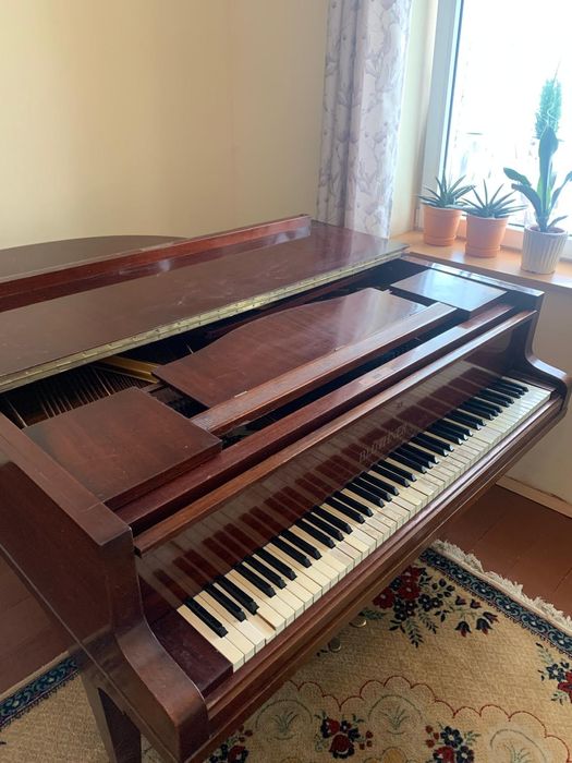 Pian coada scurta Blüthner