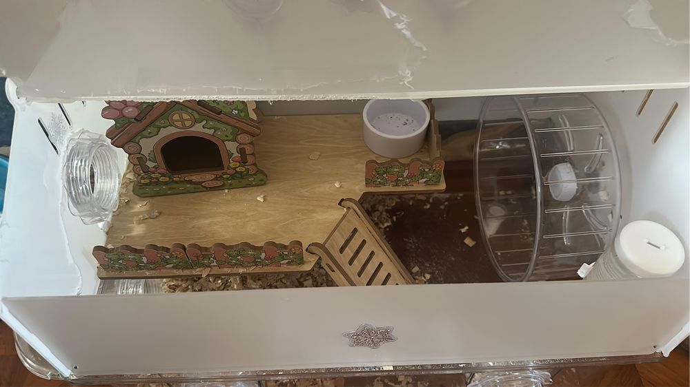 Хомяк сирийский джунгарский