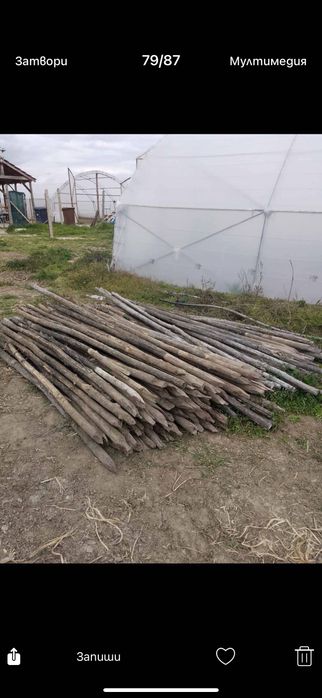 Дървени колове за домати - акация