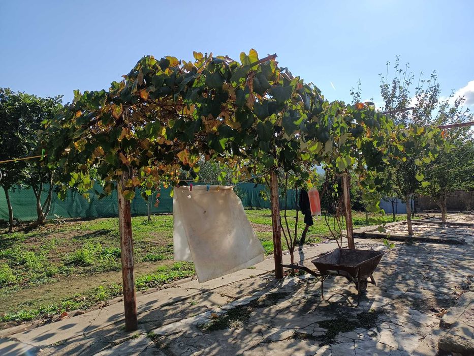 Продавам къща в село Черни Бряг, община Антоново, 64 кв.м с двор