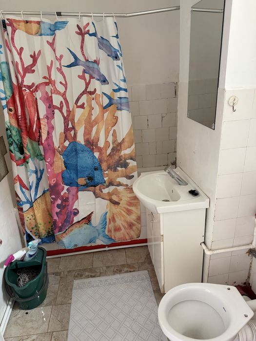 ofer apratament in chirie  2 camere zona plantelor
