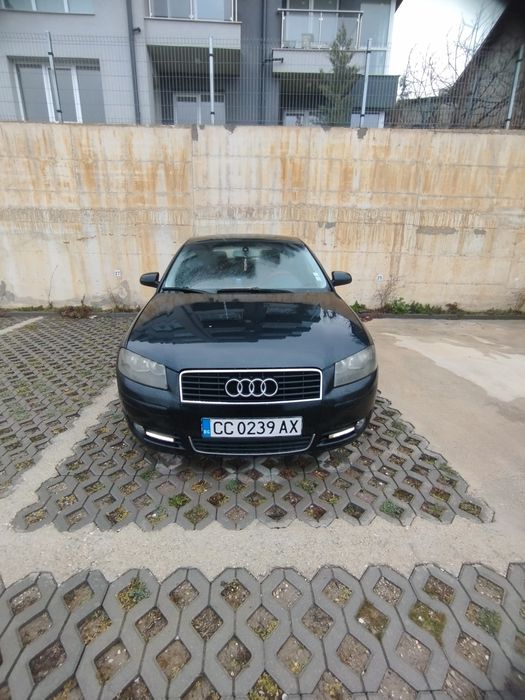 Audi A3 8P 2.0 TDI BKD 16V