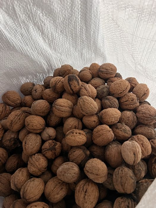 Nuci din sezon mari