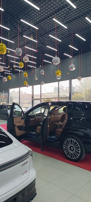 DENZA N8L 2025 Premium