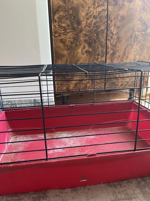 Vand cusca rozatoare (Negociabil)