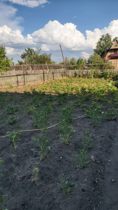 Дача. Зерендинская трасса.