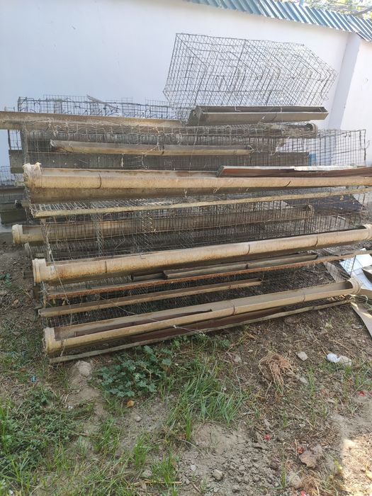 товук сетка сотилади