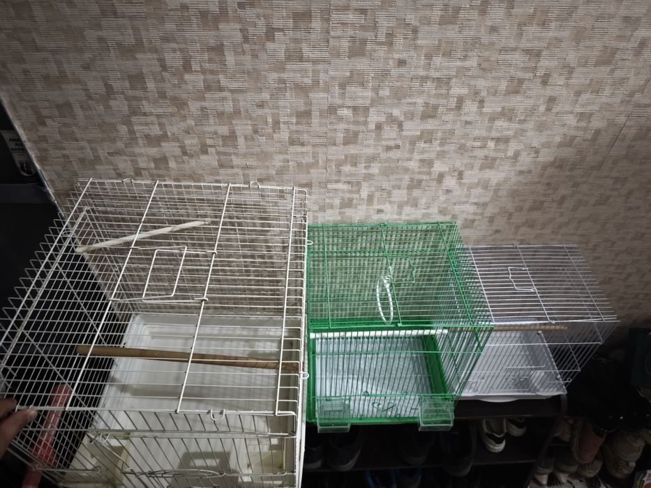 клетки для птицы