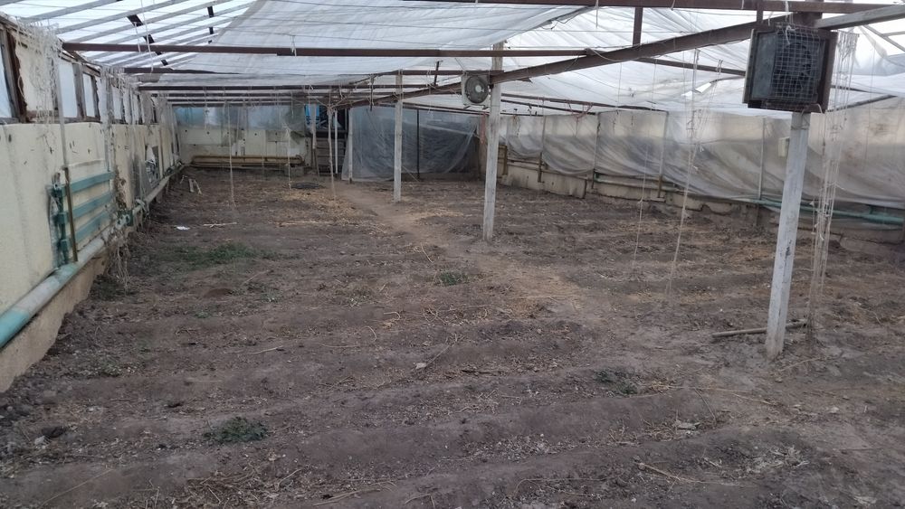 Дом, 50 соток земли.