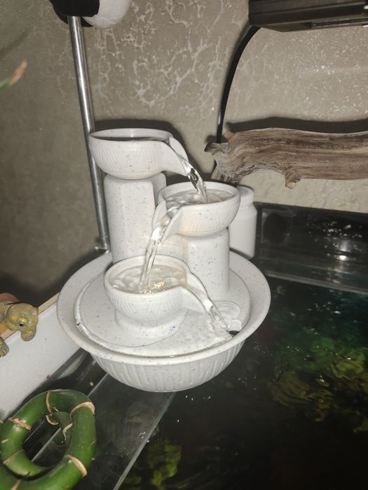 Деккор для дома, офиса