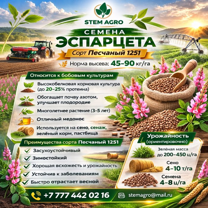 Семена эспарцета