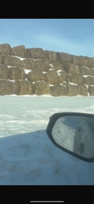 Продаю сено (шоп) шагыр