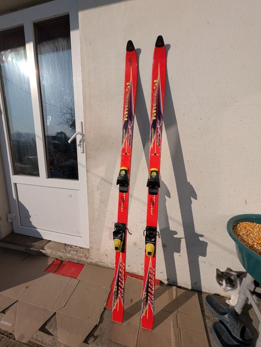 Schiuri in perfecta stare