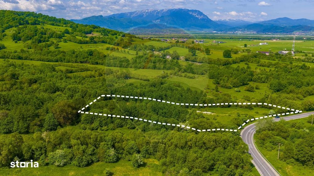 Teren 1ha Valea Glăjeriei - Rasnov | Comision 0%